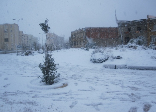 neige_setif2.jpg
