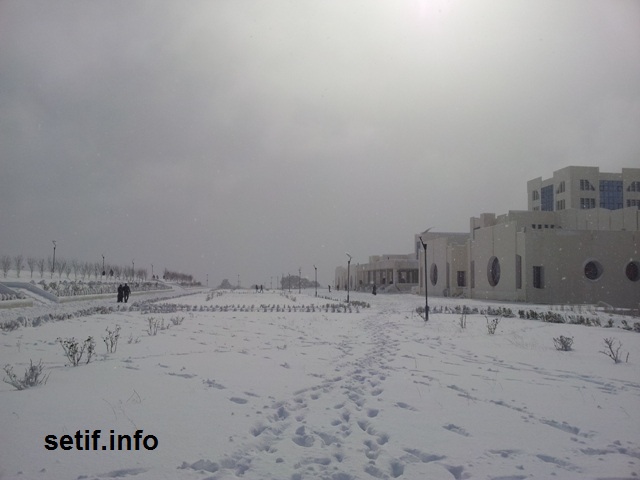 20130203_123623-4be98.jpg